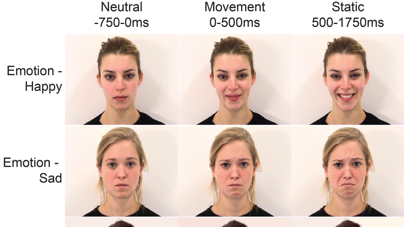 Early maternal mirroring predicts infant motor system activation during facial expression observation